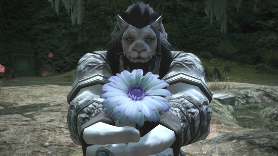 ffxiv_20200815_222553_698