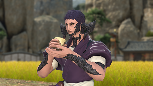 b9a065a686da7f371c82365151861aded5ef3ccf_12