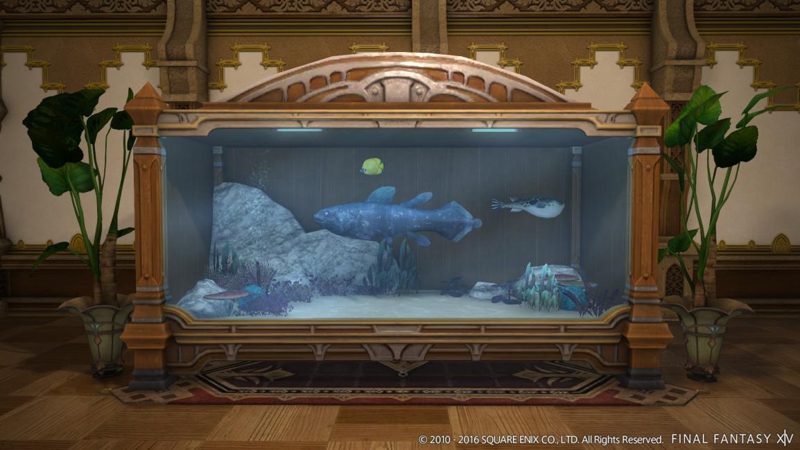 Ff14 水槽 の実装が確定したわけだが 人気が出そうな魚ってどれなんだろうｗｗｗｗ Ff14速報