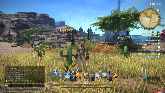 ffxiv_20130828_123648