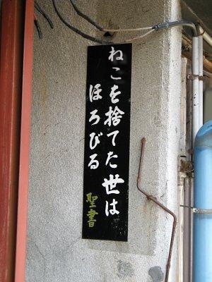 nekowo2