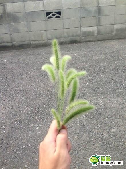 1_1