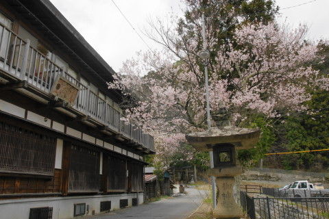 photo43