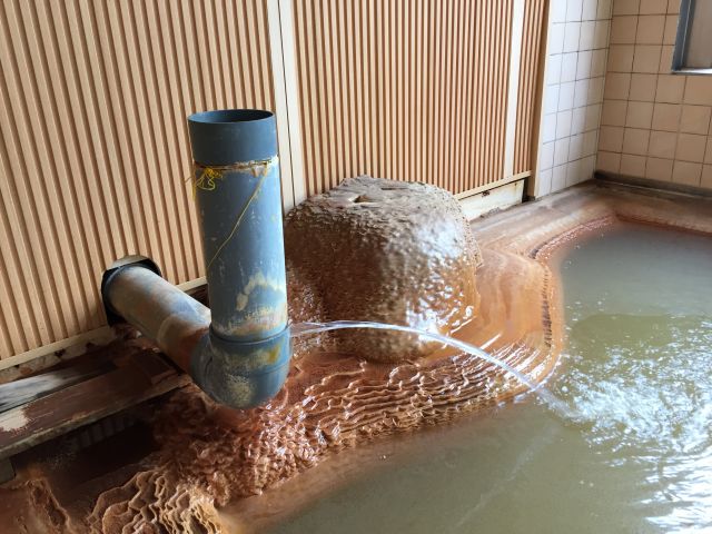 二股ラジウム温泉 二股らぢうむ温泉旅館 適当温泉