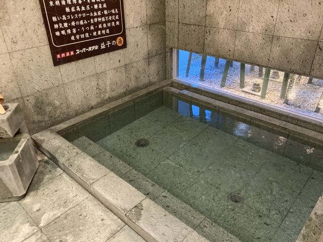 天然温泉 益子の湯 スーパーホテル宇都宮 適当温泉