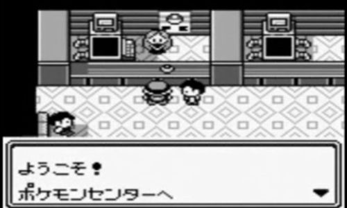 めざせ ポケモンマスター 前編 りんごファミリーカスタム１００