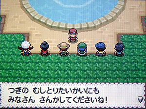 めざせ ポケモンマスター 前編 りんごファミリーカスタム100 めざせ ポケモンマスター 前編 りんごファミリーカスタム100