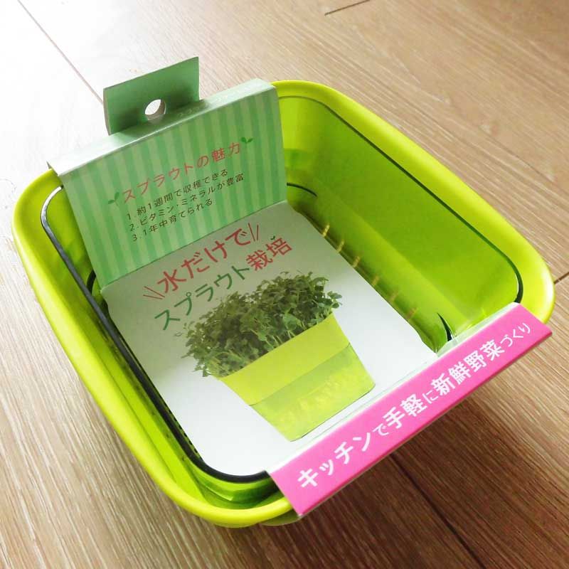 豆苗栽培1日目 てくめもとまと トマトとバジル ベランダ家庭菜園 豆苗栽培1日目 てくめもとまと トマトとバジル ベランダ家庭菜園