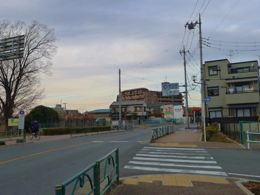 葛飾区、縁起がいい旅・11。^±^ノu2026金町まで遠くて : 高橋さんの写真