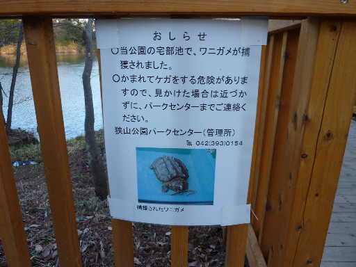 多摩湖周辺を歩くのだ3 西武園周辺 高橋さんの写真館 分館 多摩湖周辺を歩くのだ3 西武園周辺 高橋さんの写真館 分館