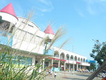 P1210696