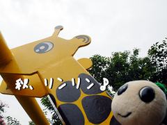 秋、リンリン♪