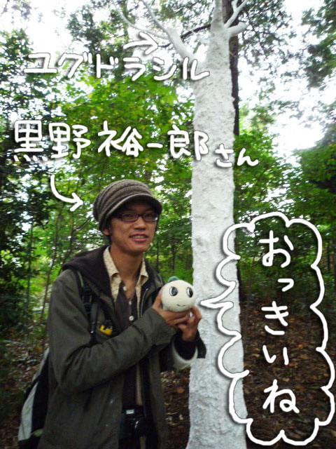 まちと森をつなぐアート展 後編 てくてく なみすけ まちと森をつなぐアート展 後編 てくてく なみすけ