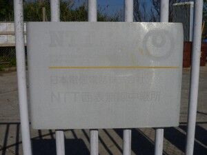 47_NTTW_RRS_IriomoteMusen_P1