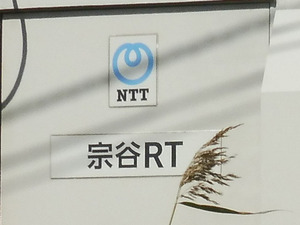 01_NTTE_Souya_P1