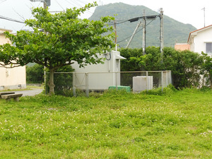 47_NTTW_YonaguniRT1_02