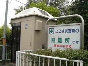 11_NTTE_KazoHiyarikawa_RT1_01