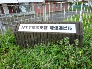 01_NTTE_Tsuushindoori_P1