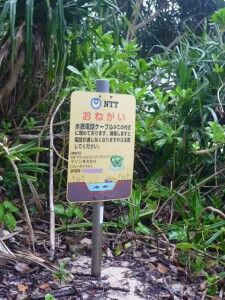 47_Rikuage_FunaukiIdanohama_01