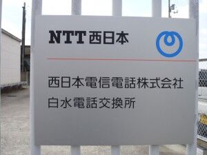 34_NTTW_KinoeShiromizu_P1
