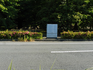12_NTTE_Tsukahara_RSBM1_003