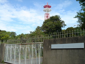 12_NTTE_InuishiMusen_01