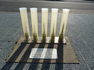 01_KINENHI_Sarufutsu_11