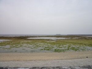 47_Rikuage_Tonaki2_01
