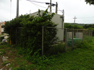 47_NTTW_YonaguniRT1_05