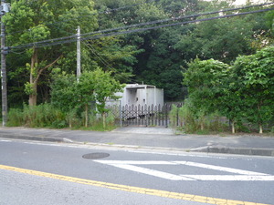 12_NTTE_Ajiki_RT1_01