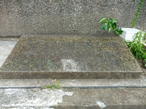 13_KiNENHI_TokyoJidouka