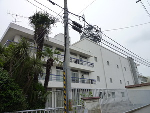 12_NTTE_ChibaYachiyo_07