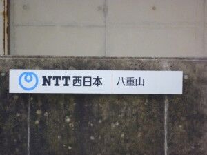 47_NTTW_Yaeyama_P1