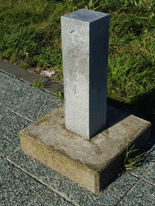 01_KINENHI_Sarufutsu_14