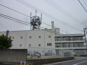 12_NTTE_ChibaYachiyo_04