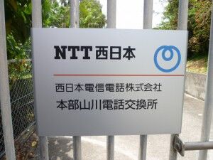 47_NTTW_MotobuYamakawa_P1