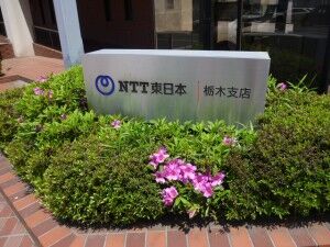 09_NTTE_TochigiHigashi_P1
