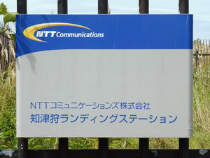 01_NTTCom_ShiratsukariLS_P1