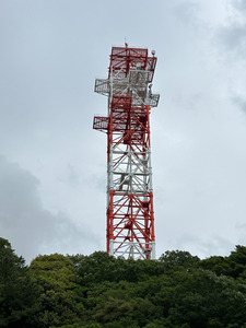 22_NTTDoCoMo_RSS_OgasaIriyamase_12
