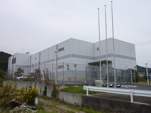 12_Tata_Emi_01