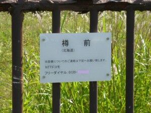 01_NTTDoCoMo_Tarumae_P1