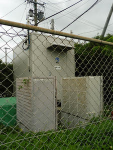 47_NTTW_YonaguniRT1_06