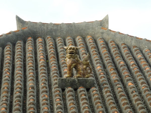 47_NTTW_Yonaguni_04