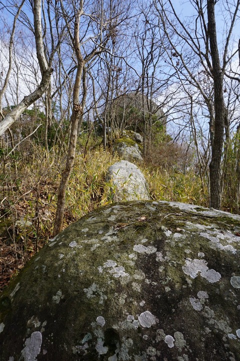 DSC00160