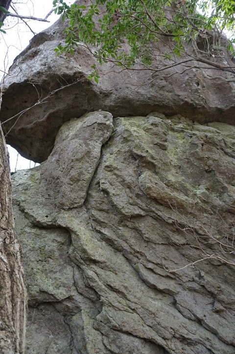 DSC00161