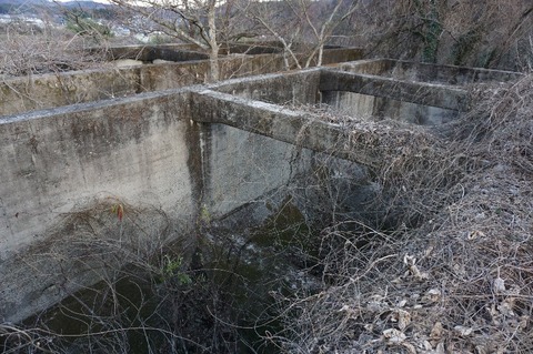 DSC00046