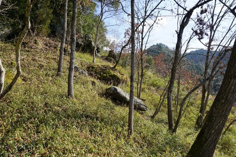 DSC00129