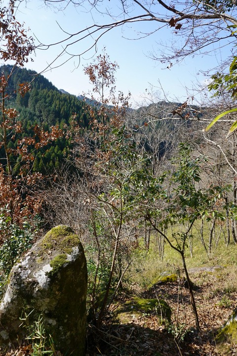 DSC00134