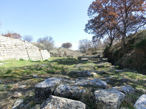 CIMG6468
