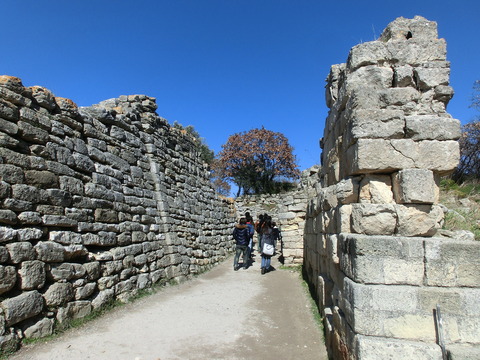 CIMG6441